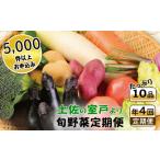 ふるさと納税 【定期便 年4回】 春夏秋冬の旬野菜定期便 10品 野菜定期便 詰め合わせ定期便 朝どれ野菜の定期便 年4回届く定期便 高知県室戸市