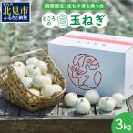fu.... налог [ предварительный заказ :2026 год 7 месяц средний . из последовательный отправка ] место. рисовые клецки лук порей 3kg ( шар лук порей tama лук-батун лук овощи рисовые клецки лук порей 3 kilo время ограничено ... маленький.. Hokkaido север видеть город 