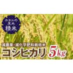 令和8年産 新米 環境に配慮し農薬を減らした栽培米