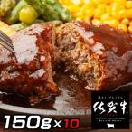 佐賀牛入りがばいハンバーグ10個:B160-011