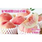ふるさと納税 紀州和歌山産の桃 約1.8kg 化粧箱入 ※2022年6月下旬頃から2022年7月下旬頃順次発送(お届け日指定不可)【uot720】 和歌山県太地町