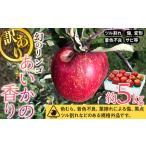 訳あり りんご あいかの香り 約5kg