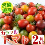カラフルトマト食べ比べセット 約2kg
