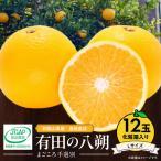 有田の八朔 はっさく 化粧箱入り 12個入り