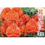 ふるさと納税 【北海道根室産】花咲蟹3尾(計1.3〜1.6kg) A-27026 北海道根室市