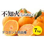 ふるさと納税 みかん 柑橘【先行受付】【2026年3月以降発送】甘さ抜群しらぬい!デコちゃん【デコポンと同品種】<約7kg> 広島 三原 佐木島 鷺.. 広島県三原市