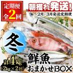 冬の鮮魚BOX 朝獲れ発送 鮮魚問屋が厳選したおまかせ鮮魚