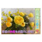 1601 長門産 季節のお花の定期便 年6回毎月コース