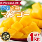 南国の恵み まるごと冷凍完熟マンゴー 約1kg