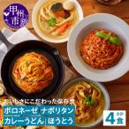 おいしさにこだわった保存食 パスタ うどん詰合せ