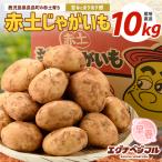 早春長島のジャガイモ 10kg
