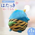 �ӂ邳�Ɣ[�� �ʂ������ �����L�����N�^�[ �͂����� [�������ό����� �R�`�� ������ tk06ays670004] �R�`��������