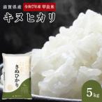 キヌヒカリ 白米 5kg