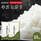 キヌヒカリ 白米 10kg