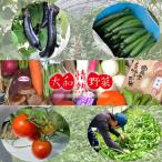 大和情熱野菜の玉手箱 旬の野菜セット 旬