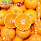 大玉 有田みかん 10kg
