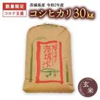 〈令和2年産〉 産コシヒカリ玄米30kg
