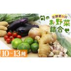 定期便6回コース 旬のお野菜セット 10~13品目