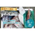 鮮魚セット 定期便 6ヶ月 若狭の恵み 鮮魚ボックス