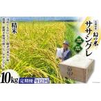 12回 定期便 希少品種米 ササシグレ 精米 10kg×12回
