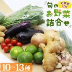 野菜 定期便 10~13種 セット Wpr-0010