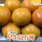 果物類 柿 M02-0098_ 産早生富有柿 約6.5kg
