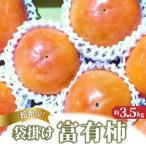超希少 袋掛け富有がき 約3.5kg