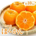 産ぽんかん 約10kg