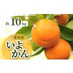 産いよかん 約10kg