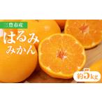 産はるみみかん 約5kg