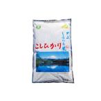ふるさと納税 令和7年産  大山しらゆき米 10kg (精白、コシヒカリ)  コシヒカリ こしひかり 米 精白米 鳥取県米子市