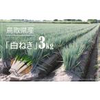 fu.... налог Tottori префектура производство белый лук порей 3kg Tottori префектура Yonago город 