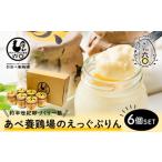 あべ養鶏場がつくった えっぐぷりん 6個入