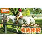 引馬体験 1回分 チケット ふれあい 引馬 乗馬体験