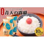 ショッピングふるさと納税 米 ふるさと納税 米 青天の霹靂 10kg 青森県産 【特A 8年連続取得 一等米】（精米・5kg×2袋） 青森県五所川原市