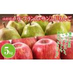 りんご ラ フランス サンふじりんご 詰合せ 5kg