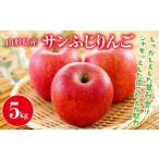 FYN9-385 ご サンふじ りんご 5kg
