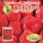 完熟 あまおう 大玉 詰め合わせ 1.2kg