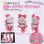 形も味もそのまま楽しめる 完熟あまおう 20g×3袋