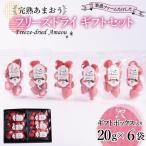 形も味もそのまま楽しめる 完熟あまおう 20g×6袋