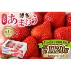 ふるさと納税 【アフター保証】大粒セレクト！大人気のあまおう 280g×4パック【2026年1月〜2月上旬お届け】【JAほたるの里】 _HA0274 | あ.. 福岡県宗像市