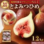 fu.... налог [.. сумма модифицировано .!] premium инжир ......1.2kg[JA.... .]_HA0278 | инжир фрукты Fukuoka префектура . изображение город 