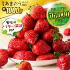 博多あまおう 約250g×4パック