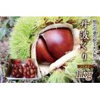 丹波くり 1kg