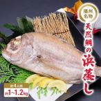 鯛魚貝類天然鯛の浜蒸し播州名物祝い鯛鯛