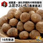 上庄さといも 10kg