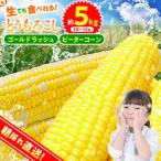 ★2027年 ★朝採りトウモロコシ 約5kg