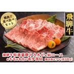 飛騨牛焼肉食べ比べセット カルビ ロース