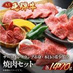 飛騨牛サーロイン ランプ赤身 本日の希少部位焼肉セット 各…