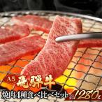 飛騨牛ヒレ サーロイン ランプ赤身 本日の希少部位焼肉セッ…